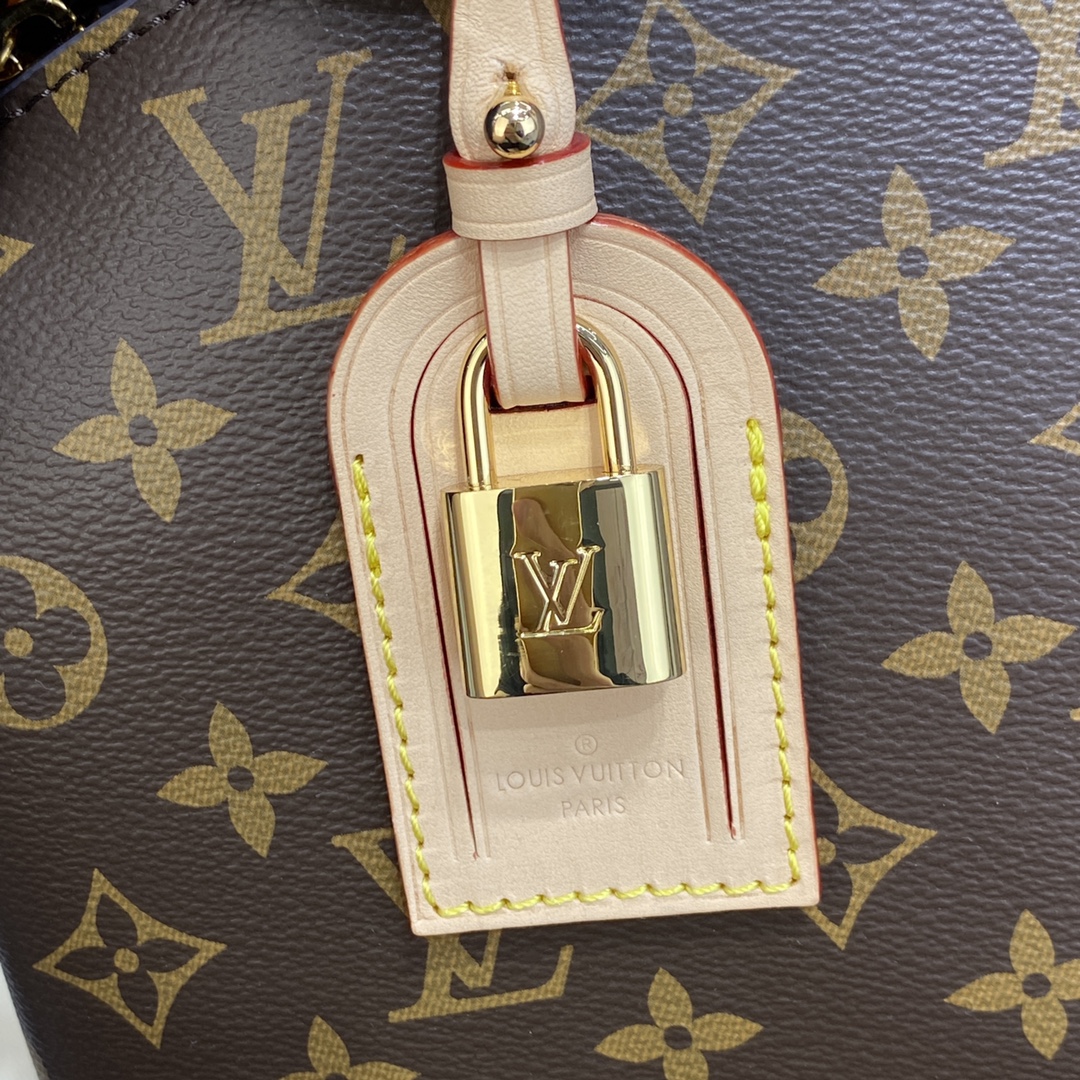 Louis Vuitton PETIT PALAIS Tote Bag Monogram M45900